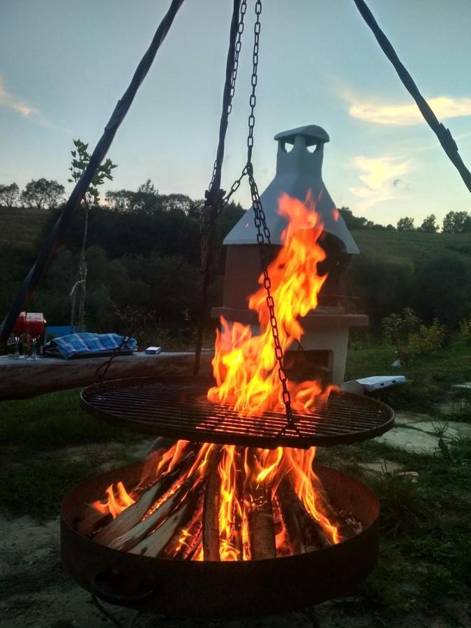 אוסטריצקי דולנה Domki W Bieszczadzkiej Dolinie מראה חיצוני תמונה